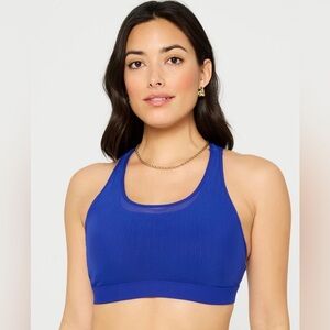 NWT, Fabletics Principal High Impact Sports Bra, Admiral Blue, M, B66